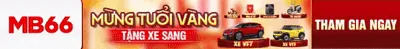 Hình ảnh văn phòng vip66